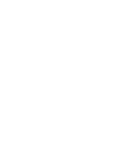 Acosta Homes lion